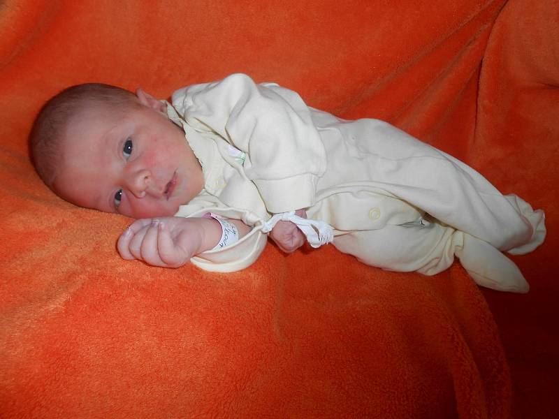 Karolína M. se narodila 1. listopadu 2021 v domažlické porodnici s mírami 3190 g a 50 cm.