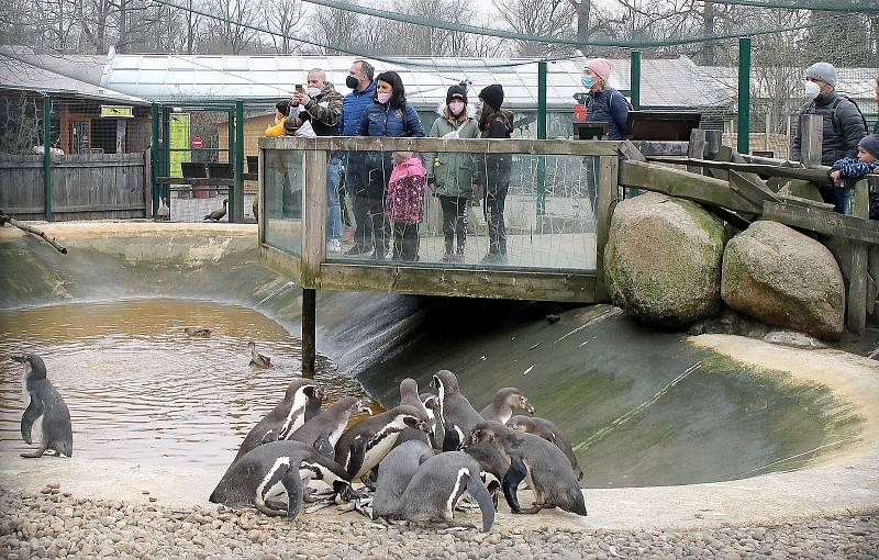 Do plzeňské zoologické zahrady dorazily jenom za sobotu více než dva tisíce návštěvníků.