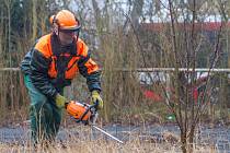 V Plzni na Borech odstartovalo kácení stromů kvůli chystané výstavbě tramvajové trati