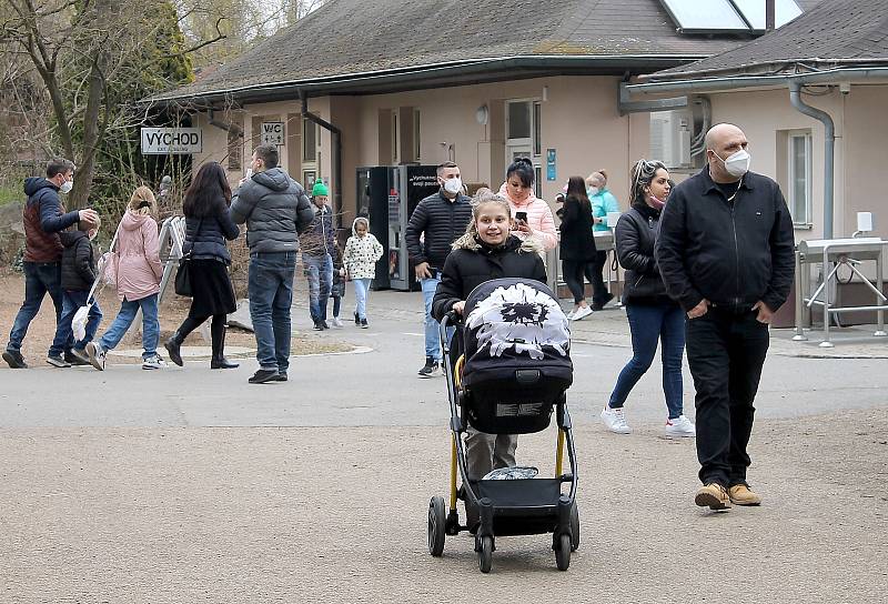 Do plzeňské zoologické zahrady dorazily jenom za sobotu více než dva tisíce návštěvníků.