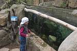 Symbolické odemčení expozice Česká řeka v plzeňské zoo