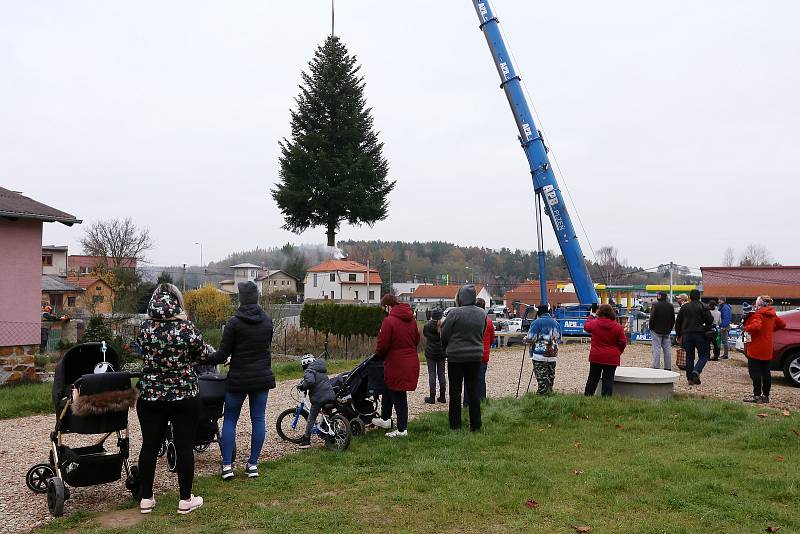 vánoční strom pro Plzeň soukromá zahrada Kařez