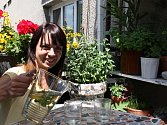 Lucie Saláková na svém balkoně, který díky bylinkám a květinám hraje barvami