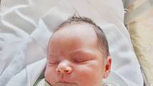 Tereza Tomková se narodila 25. května v 15:29 mamince Nikole a tatínkovi Michalovi z Jesenice. Po příchodu na svět v plzeňské FN vážila sestřička Barborky 3440 gramů a měřila 51 centimetrů.