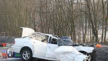 Smrtelná nehoda se stala v úterý 1. března 2011 ráno na silnici vedoucí z Plzně na Klatovy  za odbočkou na obec Vysoká. Při střetu osobního vozidla a autobusu zahynuli tři lidé a další tři osoby odvezla sanita k ošetření do nemocnice.