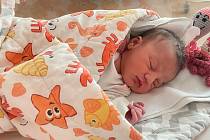 Hned minutu po půlnoci na Nový rok se narodilo ve Fakultní nemocnici v Plzni děvčátko Emily. Stala se tak prvním miminkem Plzeňského kraje.