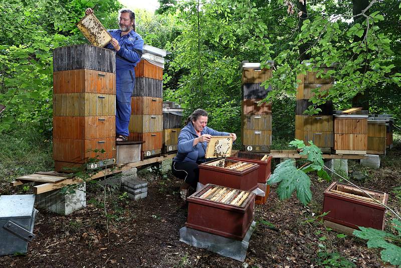 01 - Medobraní - včelaři Jana Berková a Daniel Beran na jedné ze svých sedmi včelnic. Tato je v lese nedaleko Litic u Plzně.