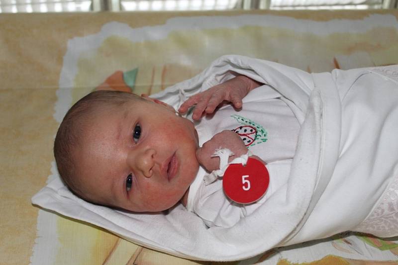 Isabella (3,00 kg, 49 cm) se narodila v pondělí 14. ledna ve 14:20 v plzeňské Mulačově nemocnici mamince Lucii Pavlíčkové z Plzně. Ze své prvorozené dcery se raduje také tatínek Daniel Bém