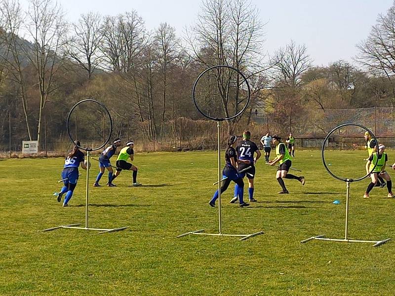 Litické fotbalové hřiště patřilo v sobotu 26. března nadšencům sportu, který se hraje na košťatech.