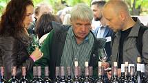 Plzeňský festival vína přilákal do Kopeckého sadů stovky lidí.