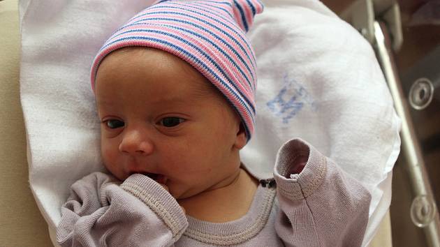 Oliver Stošek z Chotíkova se narodil ve FN na Lochotíně 22. září ve 4:50 hodin (3530 g). Rodiče Anna a Viktor dopředu věděli, že jejich prvorozené děťátko bude chlapeček.