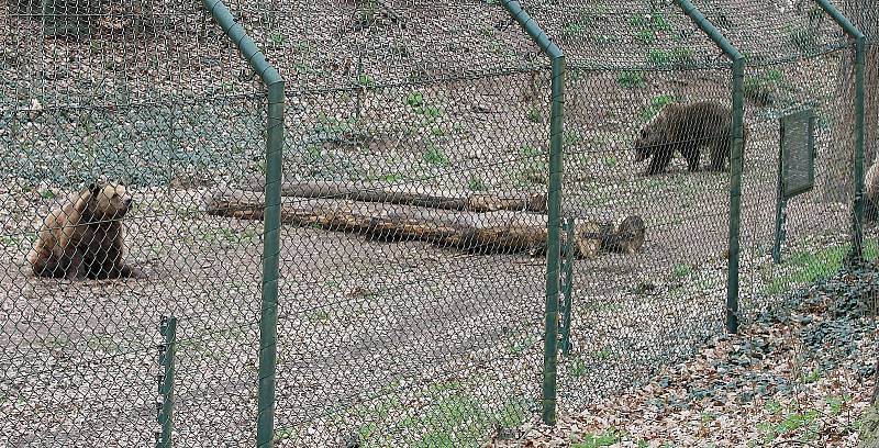 Do plzeňské zoologické zahrady dorazily jenom za sobotu více než dva tisíce návštěvníků.