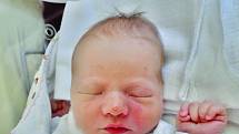 Eliška Vogelová se narodila 18. června ve 3:08 mamince Kateřině a tatínkovi Davidovi z Horní Břízy. Po příchodu na svět v plzeňské FN vážila sestřička sedmiletého Kubíka 3130 gramů a měřila 51 centimetrů.