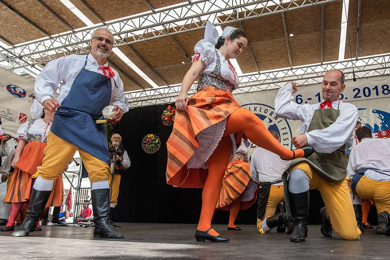 Silou lví, vzletem sokolím! – přehlídka Sokolské župy Plzeňské na Folklórním festivalu