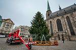 Zdobení vánočního stromu na náměstí Republiky v Plzni.
