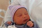 Tomáš Procházka se narodil 4. listopadu ve 23:01 mamince Kláře a tatínkovi Rodrickovi ze Štěnovic. Po příchodu na svět ve FN na Lochotíně vážil jejich prvorozený synek 2820 gramů a měřil 48 centimetrů.