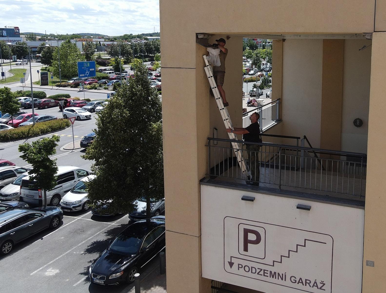 FOTO: Jiřičky si na umělá hnízda v obchodním centru Olympia už zvykly -  Plzeňský deník