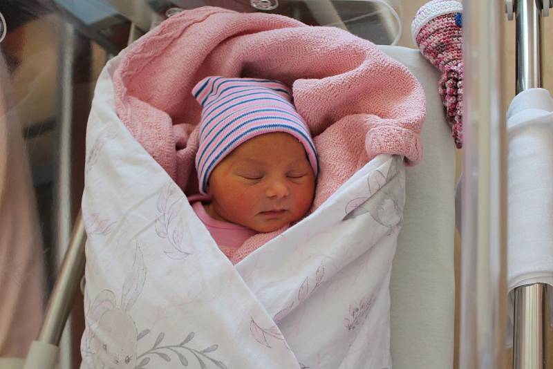 Vladislava Senevych (3020 g, 48 cm) přišla na svět v porodnici FN Lochotín 14. června 2022 v 1:50 hodin. Maminka Olha a tatínek Jurii z Plzně věděli, že jejich prvorozeným miminkem bude holčička.