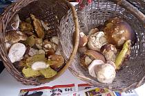 Čtenáři Deníku poslali fotografie nasbíraných hub.