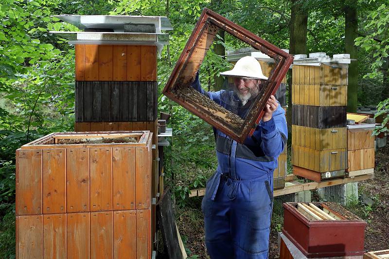 16 - Včelaření zabírá spoustu času a je i fyzicky namáhavé.