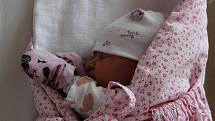 Viktorie Vorlová (3220 g) se narodila 29. června v 7:19 ve FN Lochotín. Rodiče Martina a Jaroslav z Plzně věděli dopředu, že jejich prvorozené miminko bude holčička.