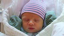 Michal Trykar ze Šťáhlav se narodil 2. září ve 14:51 hodin rodičům Haně a Michalovi. Po příchodu na svět v plzeňské FN Lochotín vážil jejich prvorozený chlapeček 3600 g a měřil 50 cm.