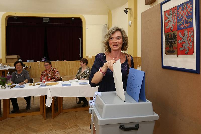 Volby do Evropského parlamentu ve Šťáhlavicích