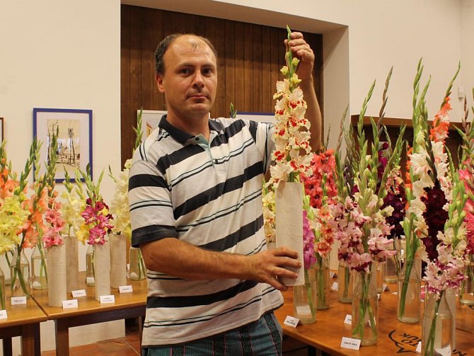 Pěstitel Pavel Novák ukazuje gladiolu, druh Assol, na kterou je právem pyšný. Tuto odrůdu, která byla vyšlechtěna zřejmě v Rusku, sehnal od jednoho pěstitele na Slovensku
