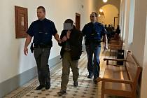 Krajský soud v Plzni se zabývá případem dvaapadesátiletého Vlastimila Š., který loni v dubnu brutálně napadl svoji matku.