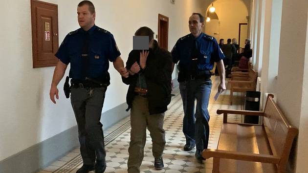 Krajský soud v Plzni se zabývá případem dvaapadesátiletého Vlastimila Š., který loni v dubnu brutálně napadl svoji matku.
