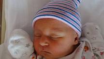 Lilien Nekvapilová se narodila 10. listopadu ve 3:20 mamince Lence a tatínkovi Filipovi z Plzně. Po příchodu na svět v plzeňské FN vážila sestřička skoro dvouleté Nelly 2970 gramů a měřila 49 cm.