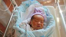 Minh Khang Hoang (3350 g, 51 cm) se narodil 16. října v 10:24 ve FN Lochotín. Z narození svého druhorozeného chlapečka se raduje maminka Tuyen a tatínek Long z Plzně.