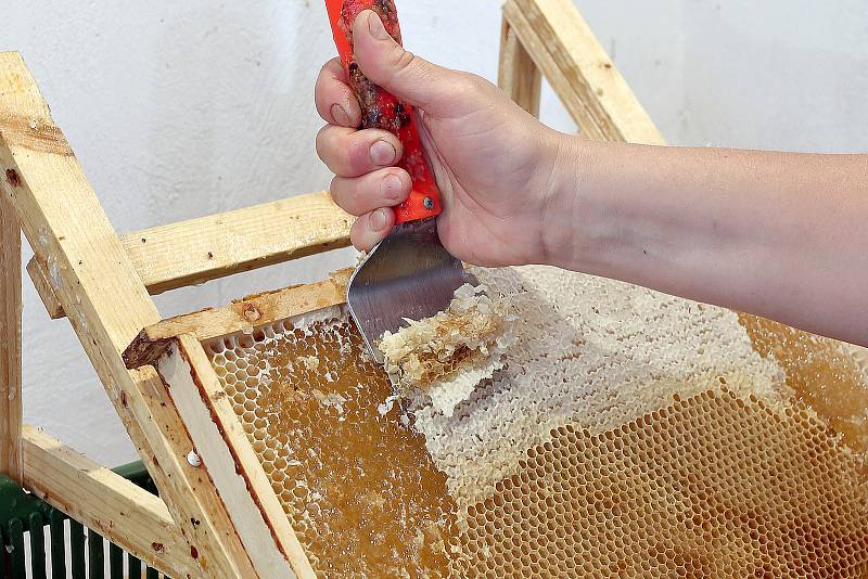 23 – Odstrańování víček lze provádět i strojově, to se ale vyplatí pouze velkovčelařům.