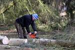 Technici ČEZu opavují poškozené vedení vysokého napětí nedaleko Křimic. Vedení poničil pád stromu způsobený poryvem silného vichru.