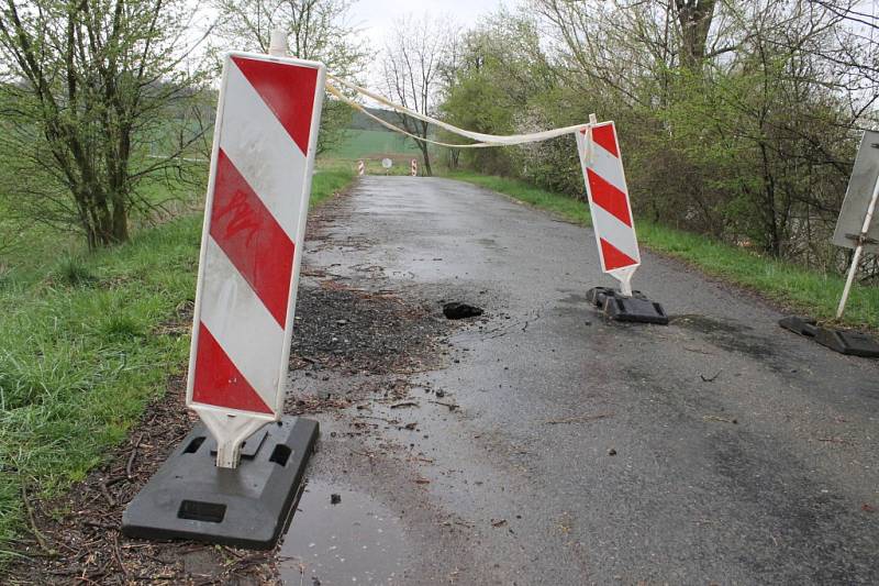 Následky pobytu bobra u skočického rybníka