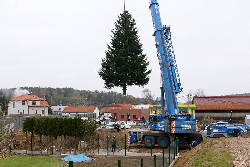 vánoční strom pro Plzeň soukromá zahrada Kařez