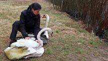 Postrach vodáků se vrátil do Plzně. Labuťák Trenér část cesty ušel pěšky