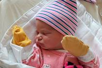 Amália Feigel (2490 g, 45 cm) se narodila 4. července 2022 ve 14:58 hodin v porodnici FN Lochotín. Rodiče Nikola a Mário z Plzně věděli, že jejich prvorozené miminko bude holčička.