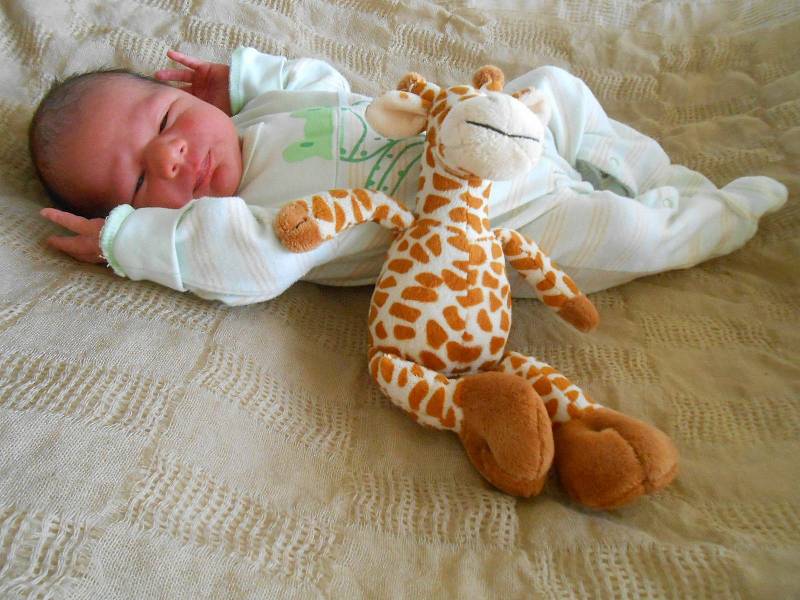 Emanuel H. se narodil 25. února 2021. Po příchodu na svět v Domažlické nemocnici vážil 2810 gramů a měřil 48 centimetrů.