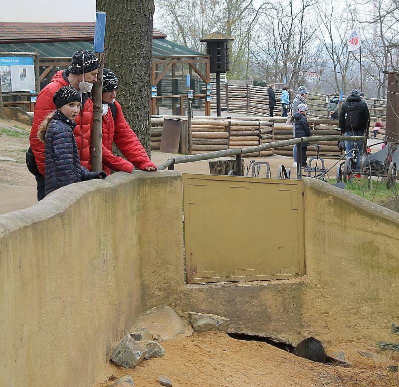 Do plzeňské zoologické zahrady dorazily jenom za sobotu více než dva tisíce návštěvníků.