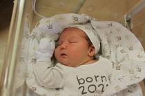 Mila Astapkevyč (4340 g, 50 cm) se narodila ve FN Lochotín 22. září ve 13:45 hodin. Rodiče Darja a Volodymyr z Plzně si nechali pohlaví svého miminka jako překvapení. Doma na sestřičku čekali Zlata (8) a brácha Matěj (9).