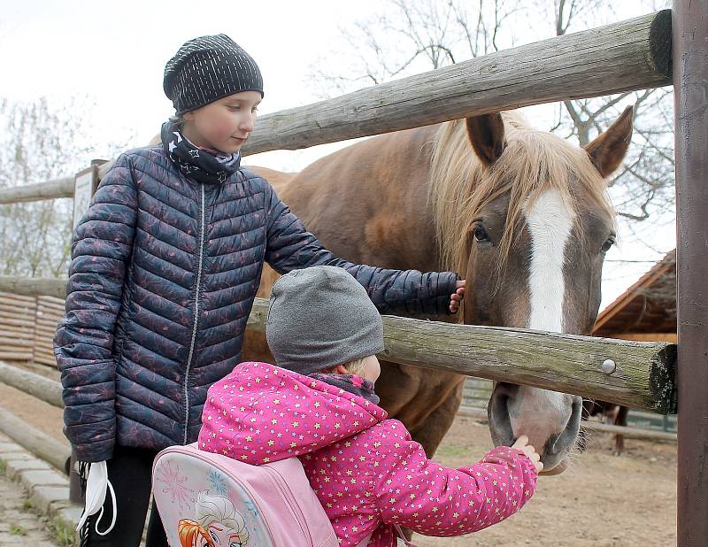 Do plzeňské zoologické zahrady dorazily jenom za sobotu více než dva tisíce návštěvníků.