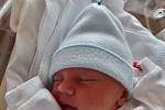 Mark Lisnyy se narodil 8. června v 9:43 mamince Petře a tatínkovi Markovi z Plzně. Po příchodu na svět v plzeňské FN vážil jejich provorozený synek 2880 gramů a měřil48 centimetrů. 