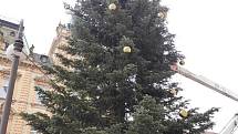 Vánoční strom v Domažlicích.