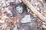 Přes čtyři sta mincí, které si ve 14. století někdo schoval nedaleko Kladrub na Stříbrsku, bylo uloženo kousek pod zemí v hliněné nádobě.