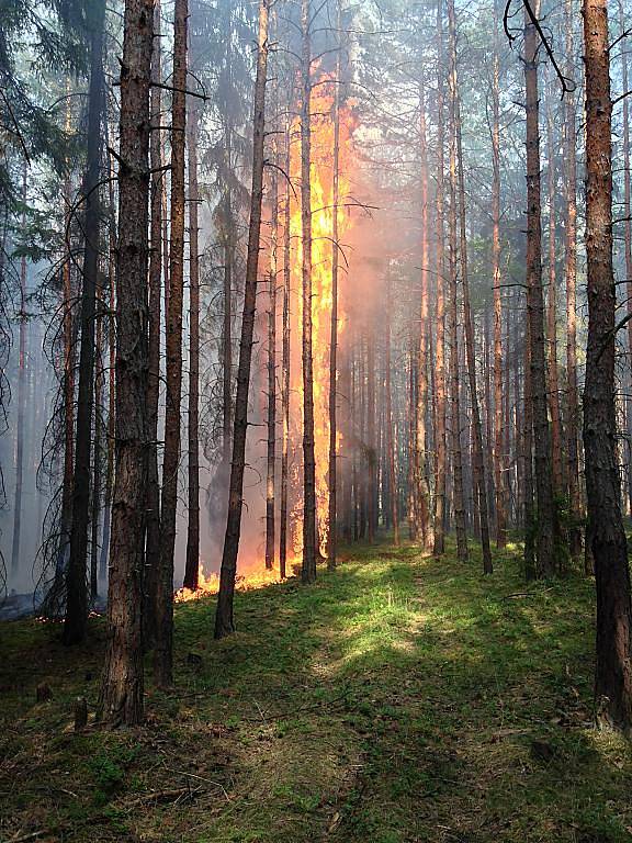 Požár lesa a pole u Horního Hradiště na severním Plzeňsku