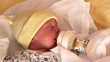 Dvojčata Viktorie a Elen Baranovy se narodila 25. září mamince Jiřině a tatínkovi Ludovítovi z Plzně. Viktorie se narodila ve 4:33 hodin, sestřička Elen o minutu později. Po příchodu na svět ve Fakultní nemocnici v Plzni na Lochotíně vážila prvorozená Vik