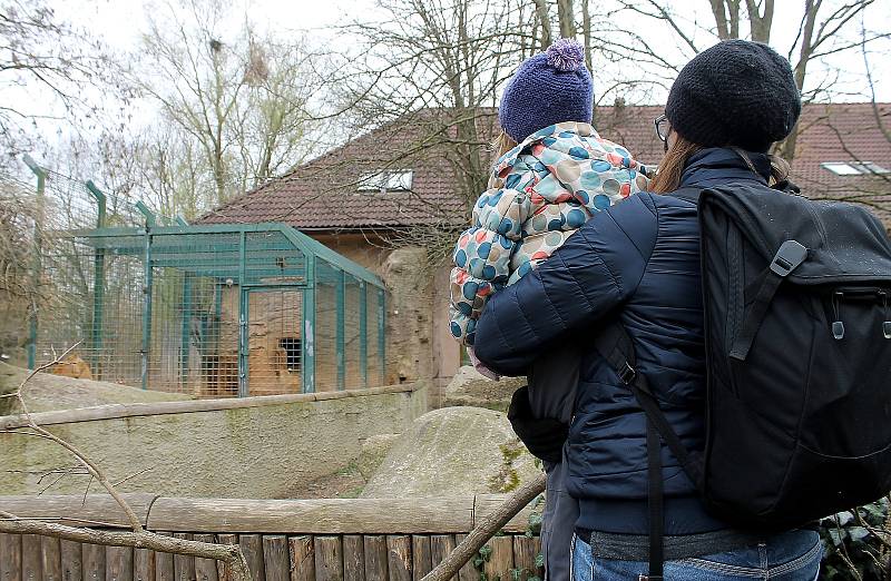 Do plzeňské zoologické zahrady dorazily jenom za sobotu více než dva tisíce návštěvníků.