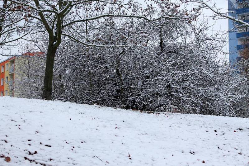 Borský park a první sníh. 