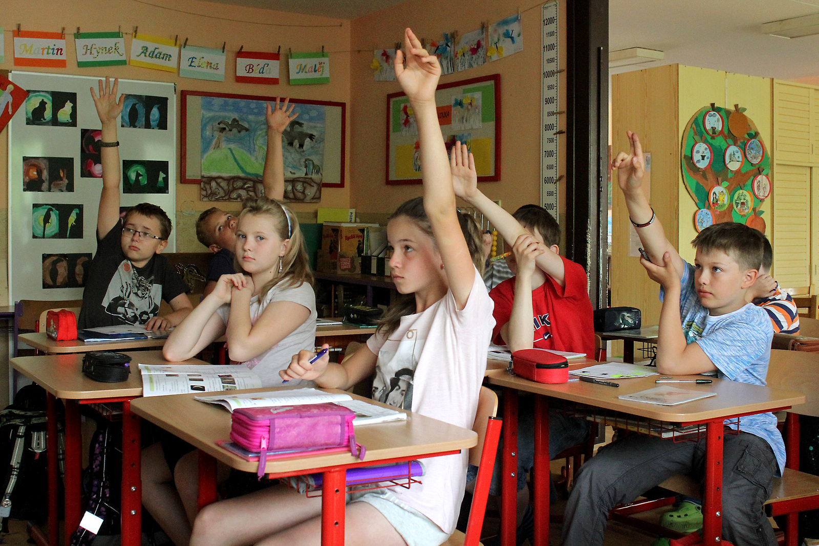 Nestály na ideální startovní čáře, přesto děti zvládají přechod na běžné  školy - Plzeňský deník